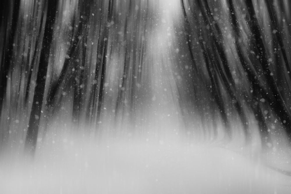 Dreamy Walking Trail art print by YoungIl Kim for $57.95 CAD