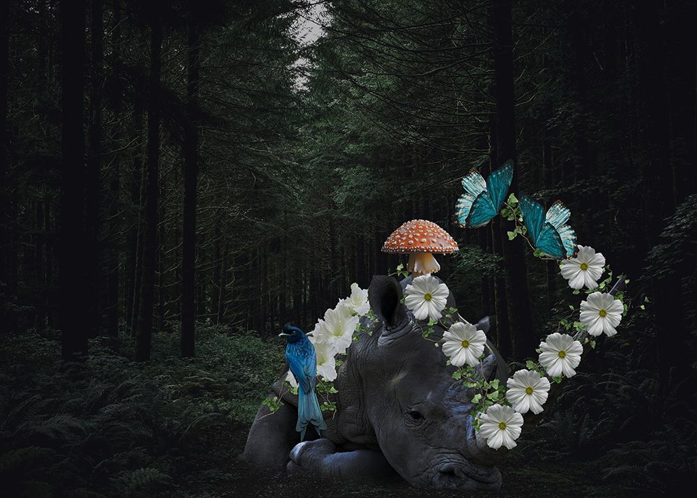 Rhinoceros art print by Salome Zhividze for $57.95 CAD