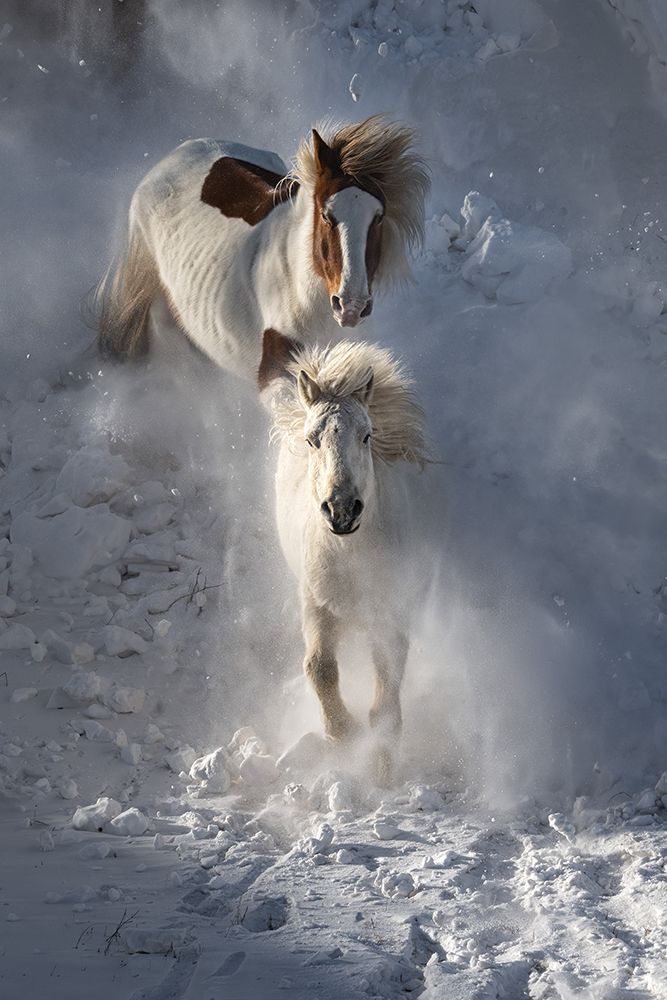 Two Horses art print by Chuanxu Ren for $57.95 CAD