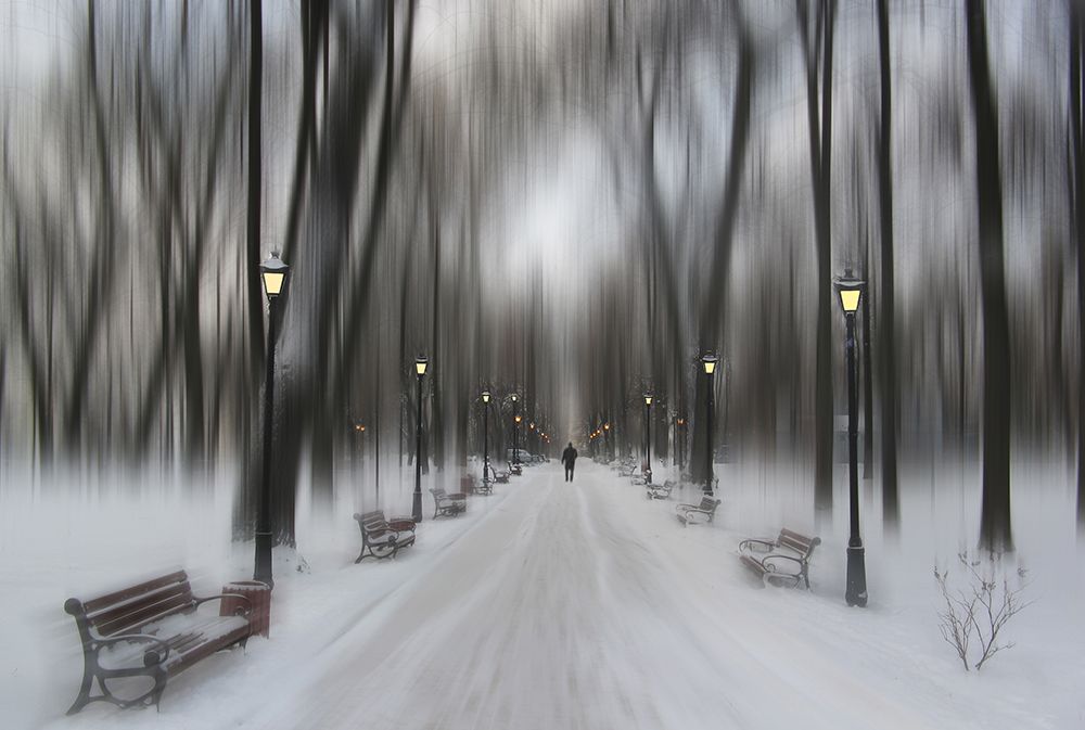 Winter Park art print by Alexander Kiyashko for $57.95 CAD