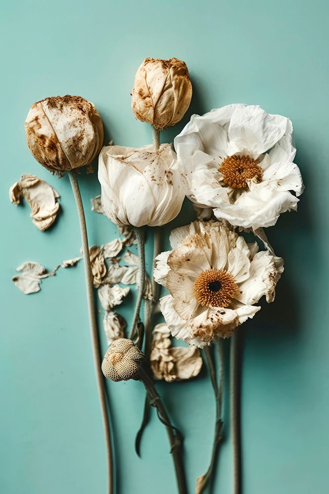 Dry Flowers on Turquoise Background art print by Treechild for $57.95 CAD