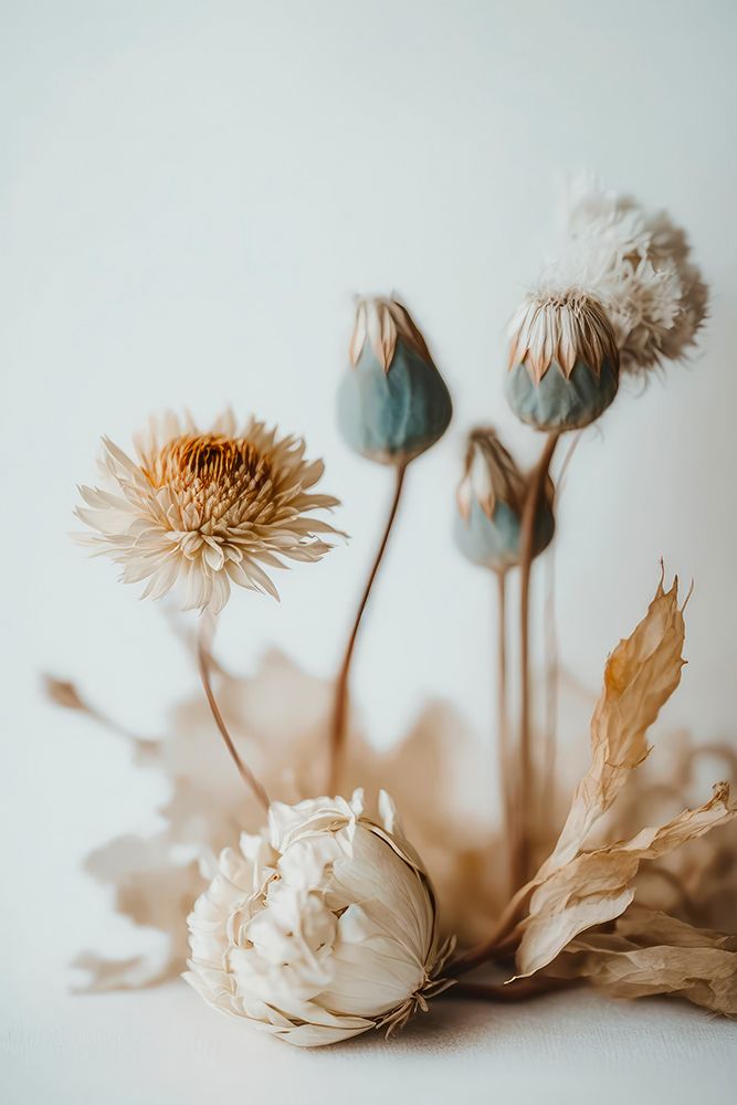 Dry Flower Impression art print by Treechild for $57.95 CAD