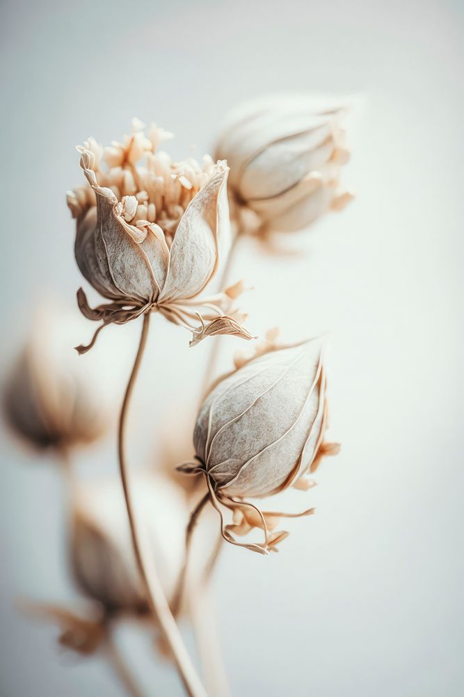 Beige Felt Flowers art print by Treechild for $57.95 CAD