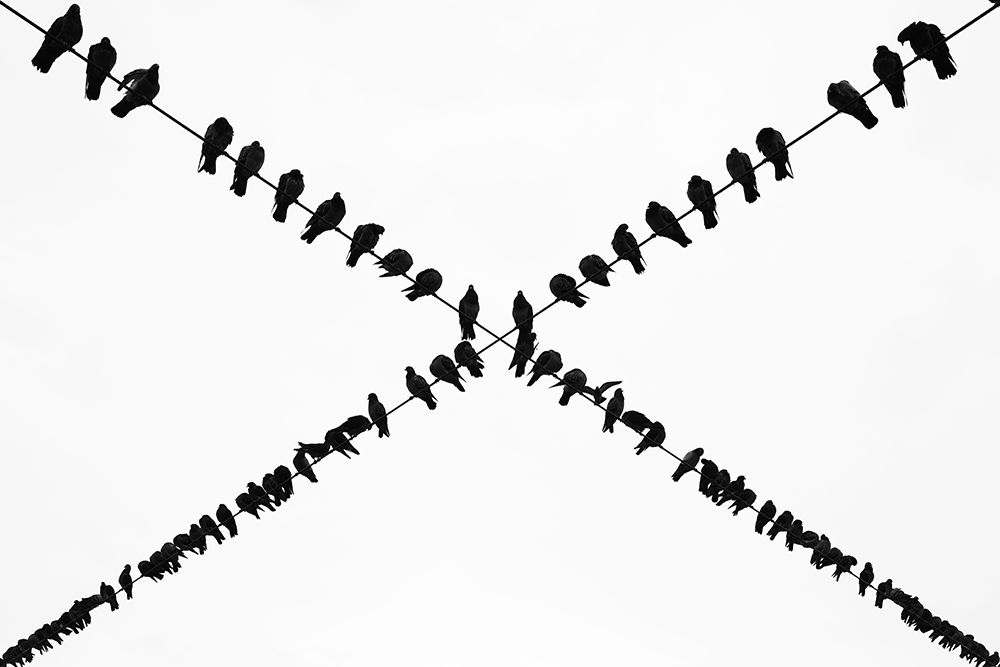 X art print by Ali Ayer for $57.95 CAD
