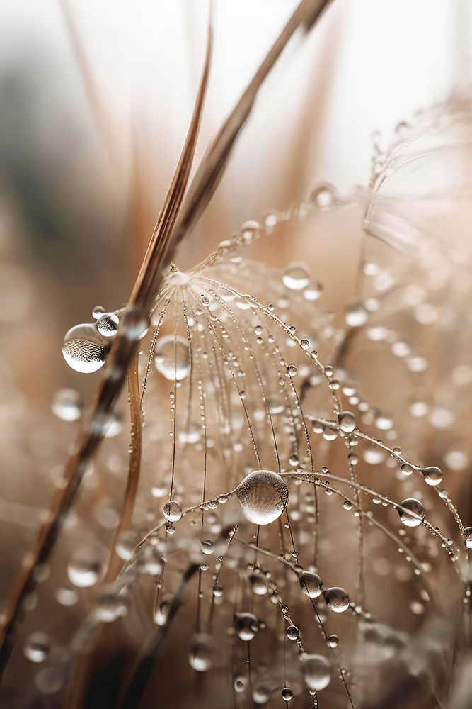 Rain Drops art print by Treechild for $57.95 CAD