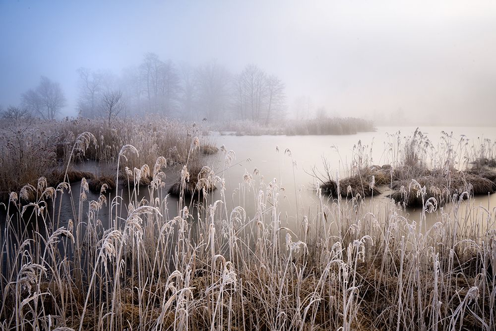 Winter In Bavaria art print by Ulrike Eisenmann for $57.95 CAD