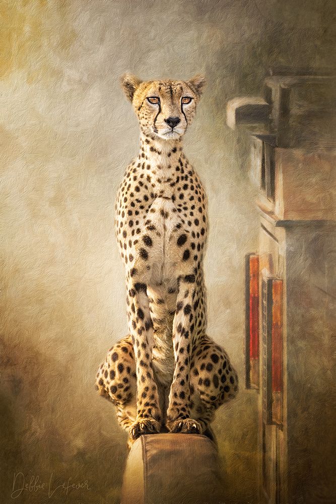 Point Of View art print by Debbie Lefever for $57.95 CAD
