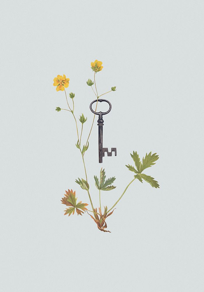 Botanical vintage key art print by Frida Floral Studio for $57.95 CAD