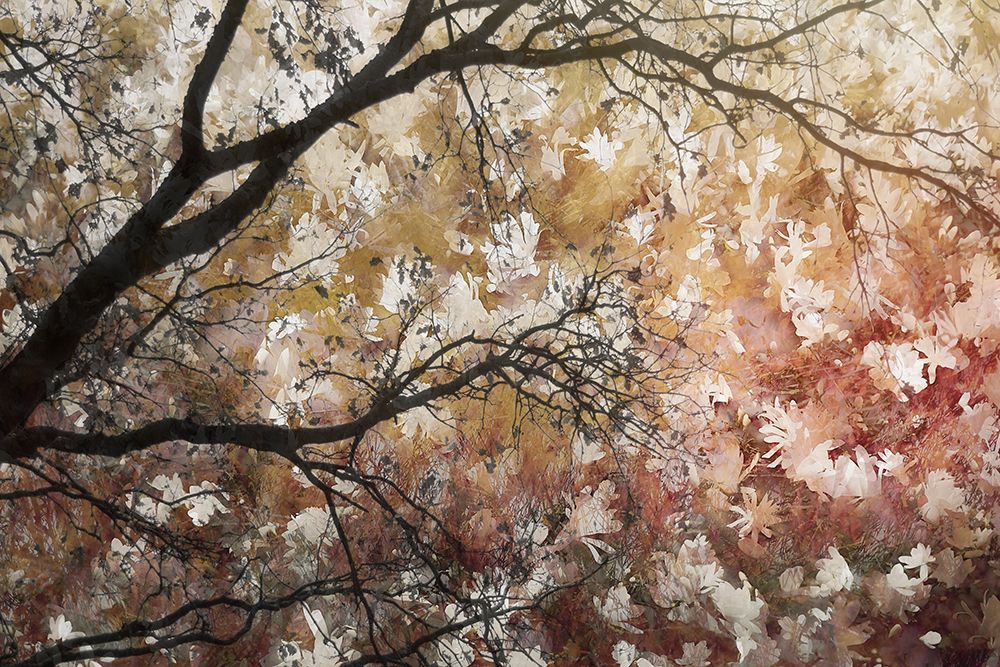 Sea Of Flowers art print by Nel Talen for $57.95 CAD