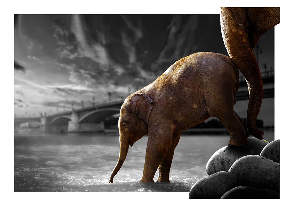 The Push art print by Fadil Roze for $57.95 CAD