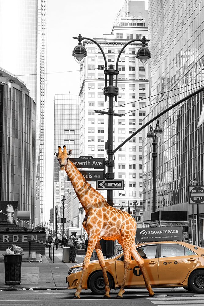 Morning Walk art print by Fadil Roze for $57.95 CAD