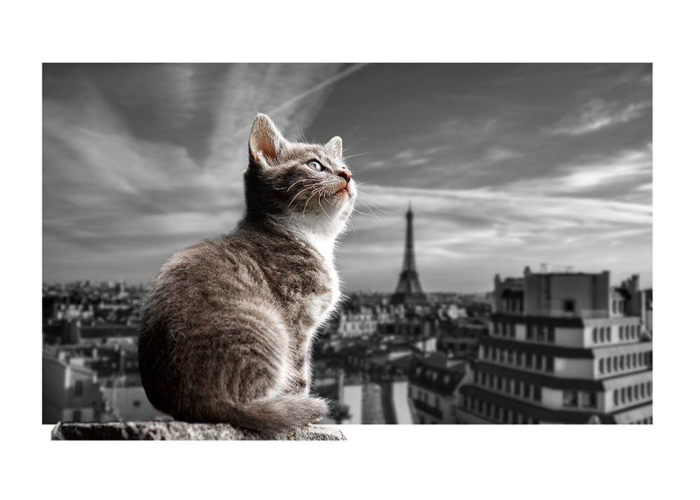The Eiffel Cat art print by Fadil Roze for $57.95 CAD