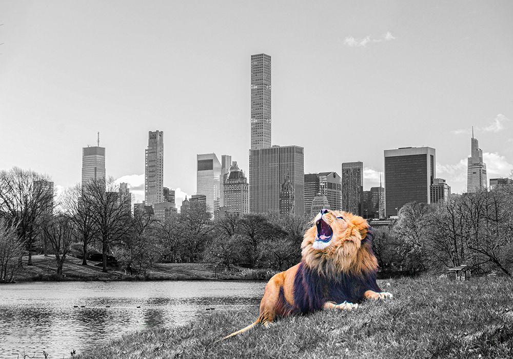 New York Roar art print by Fadil Roze for $57.95 CAD