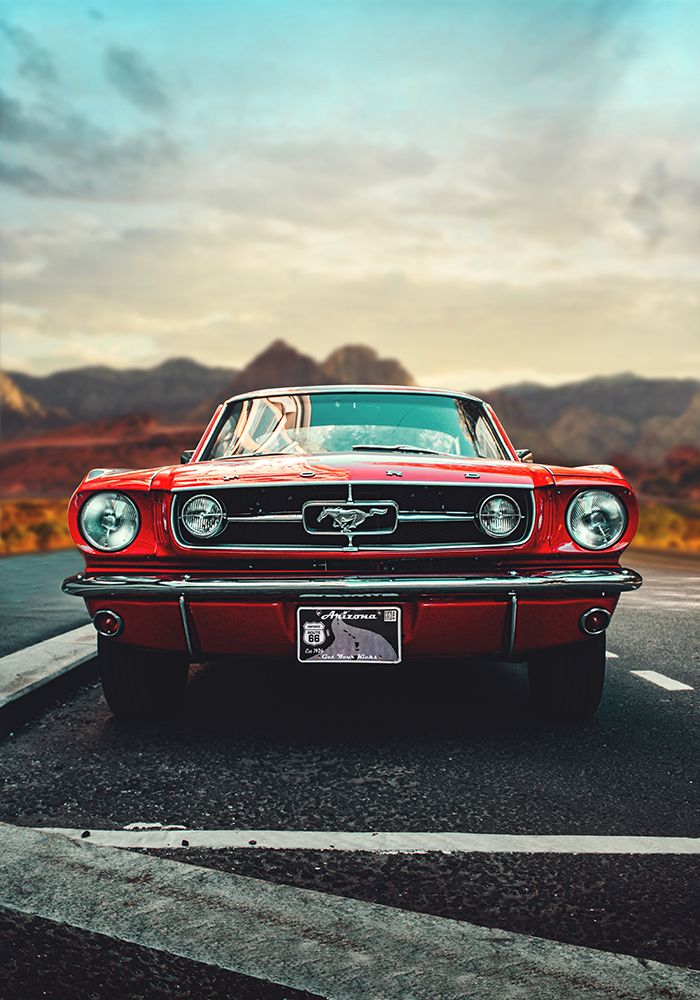 Mustang Love art print by Fadil Roze for $57.95 CAD