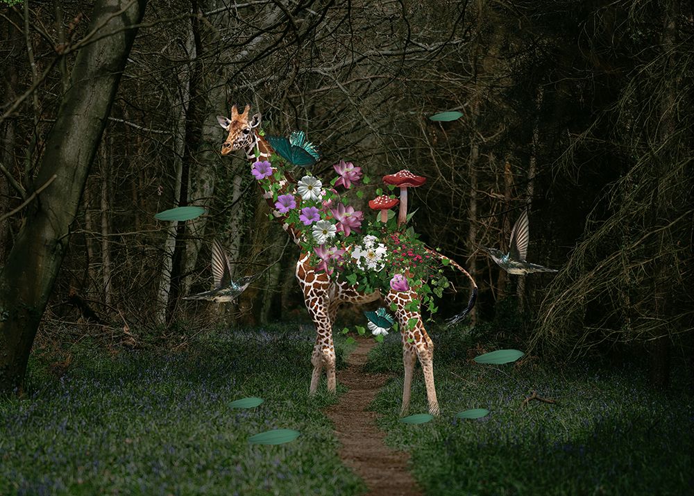 Giraffe art print by Salome Zhividze for $57.95 CAD
