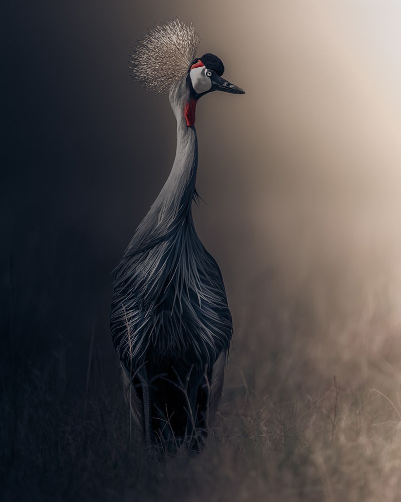 Lonely art print by Ahmed Sobhi for $57.95 CAD