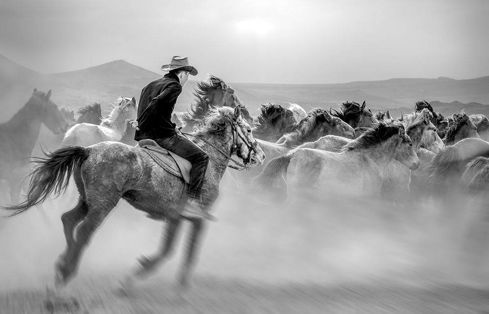 Yabani Atlar (Aka Yaplkap Atlarap) art print by Mustafa for $57.95 CAD