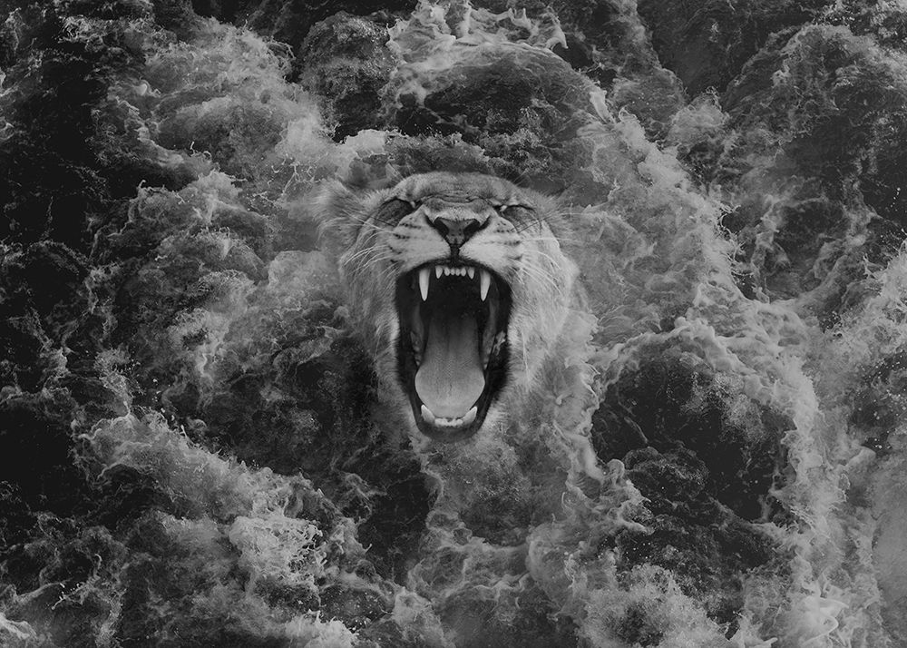 A lioness art print by Salome Zhividze for $57.95 CAD