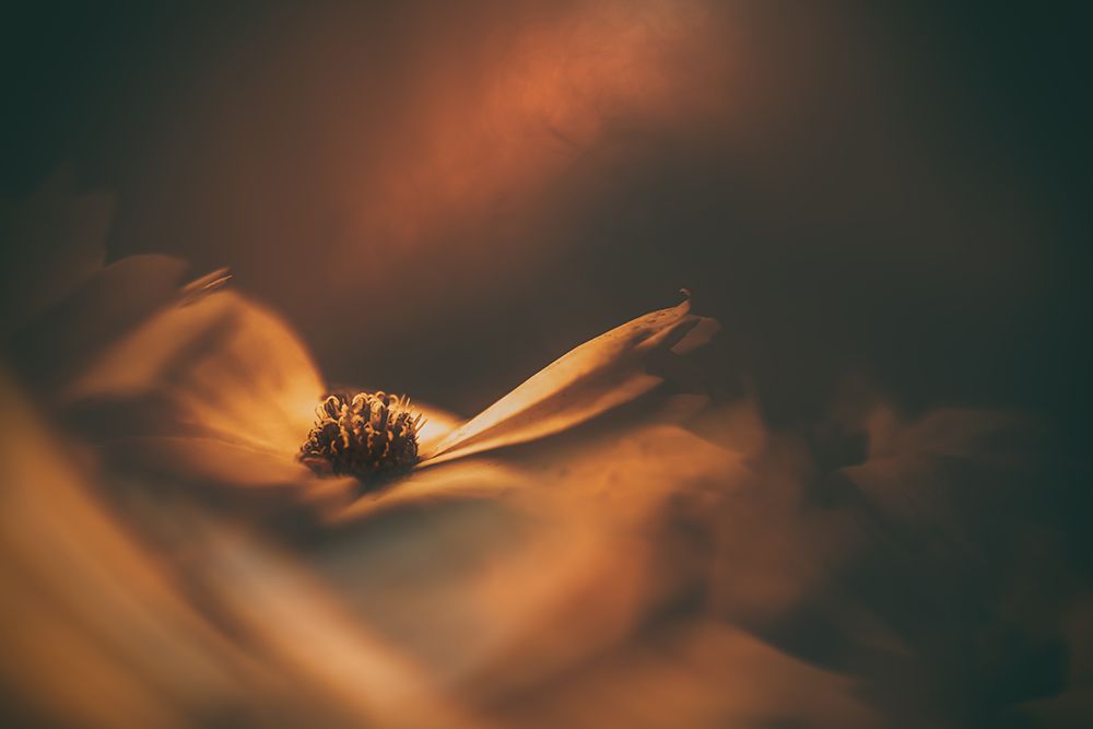 Little Dreams art print by Marcus Hennen for $57.95 CAD