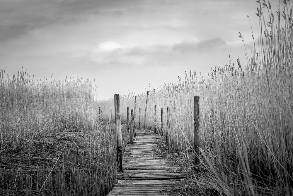 The Plank Bridge art print by Lars Hylleberg for $57.95 CAD