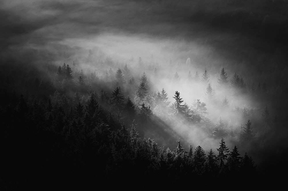 Misty art print by Rado Gadoczi for $57.95 CAD