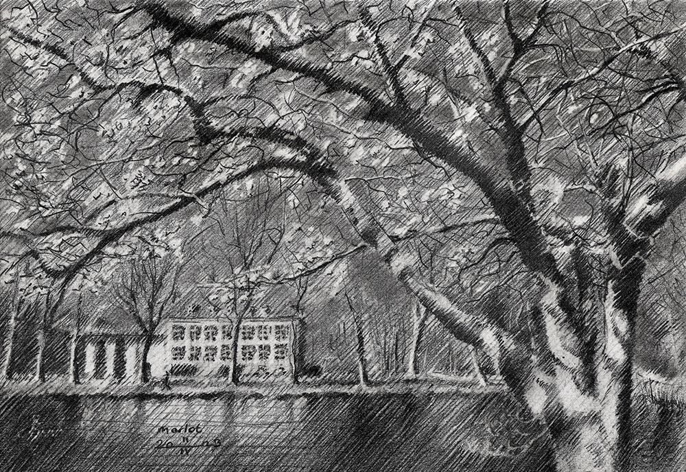 Marlot 11 04 23 art print by Corne Akkers for $57.95 CAD