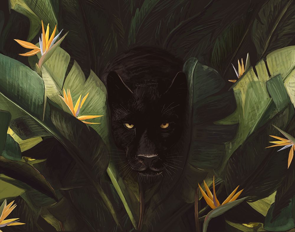 Hello Panther art print by Florent Bodart for $57.95 CAD