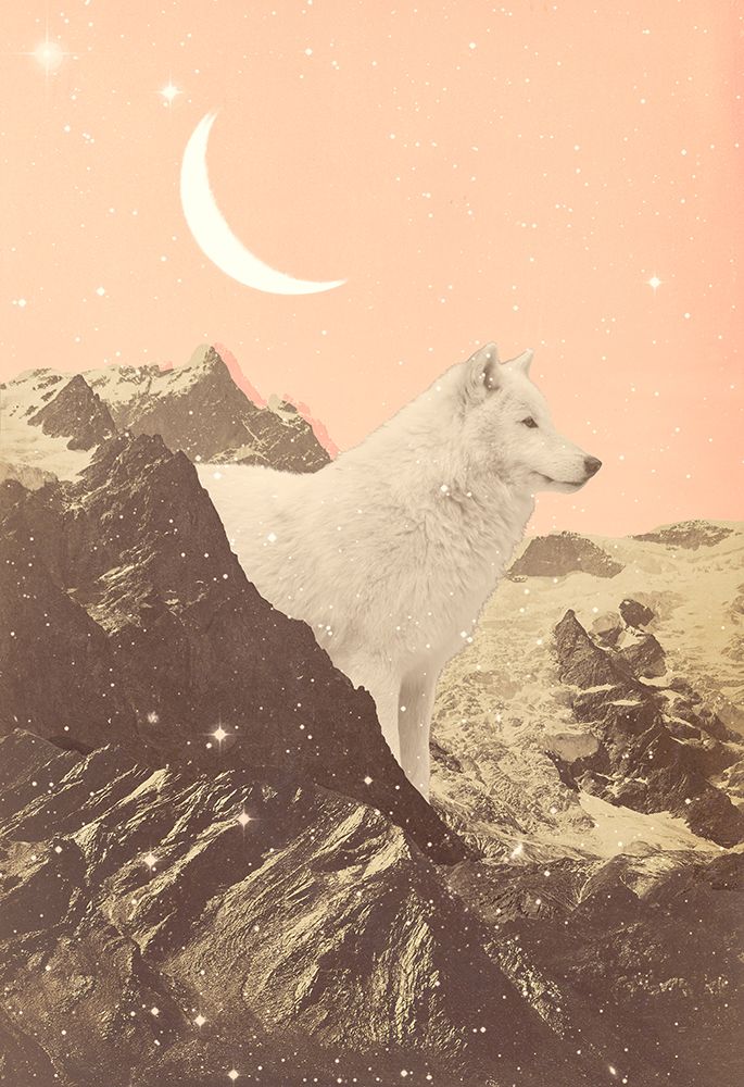 Giant White Wolf In Mountains art print by Florent Bodart for $57.95 CAD