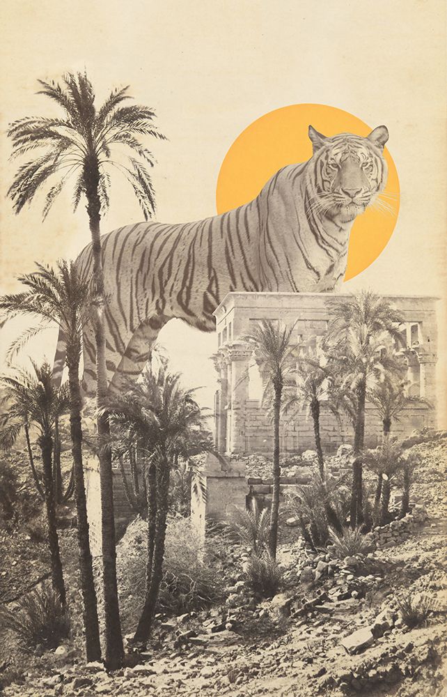 Giant Tiger In Ruins art print by Florent Bodart for $57.95 CAD