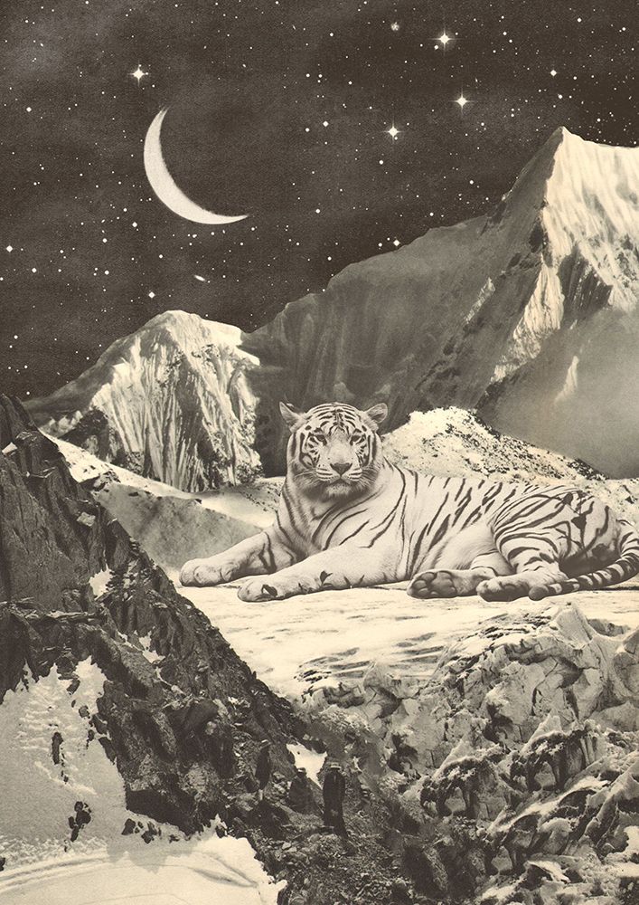 Giant White Tiger art print by Florent Bodart for $57.95 CAD