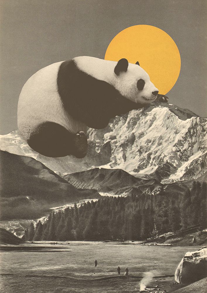 Giant Panda Nap art print by Florent Bodart for $57.95 CAD