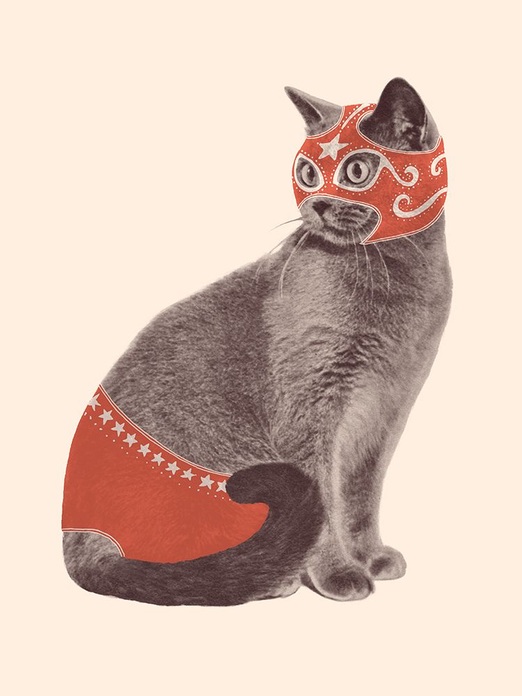 Chat Catcheur art print by Florent Bodart for $57.95 CAD