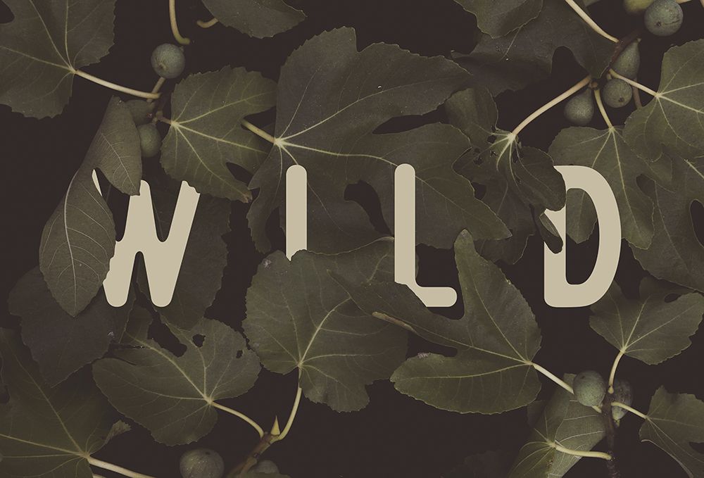 Wild NAo2 art print by Florent Bodart for $57.95 CAD