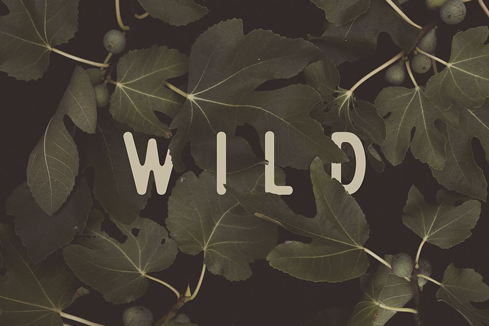 Wild NAo1 art print by Florent Bodart for $57.95 CAD