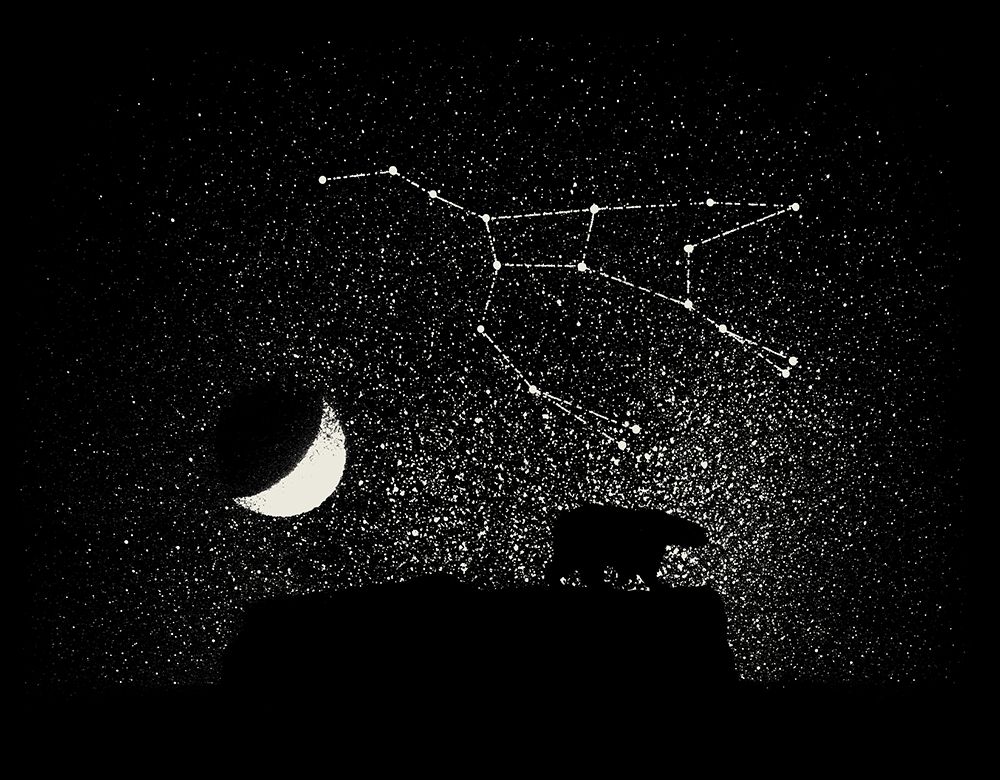 Ursa Major art print by Florent Bodart for $57.95 CAD