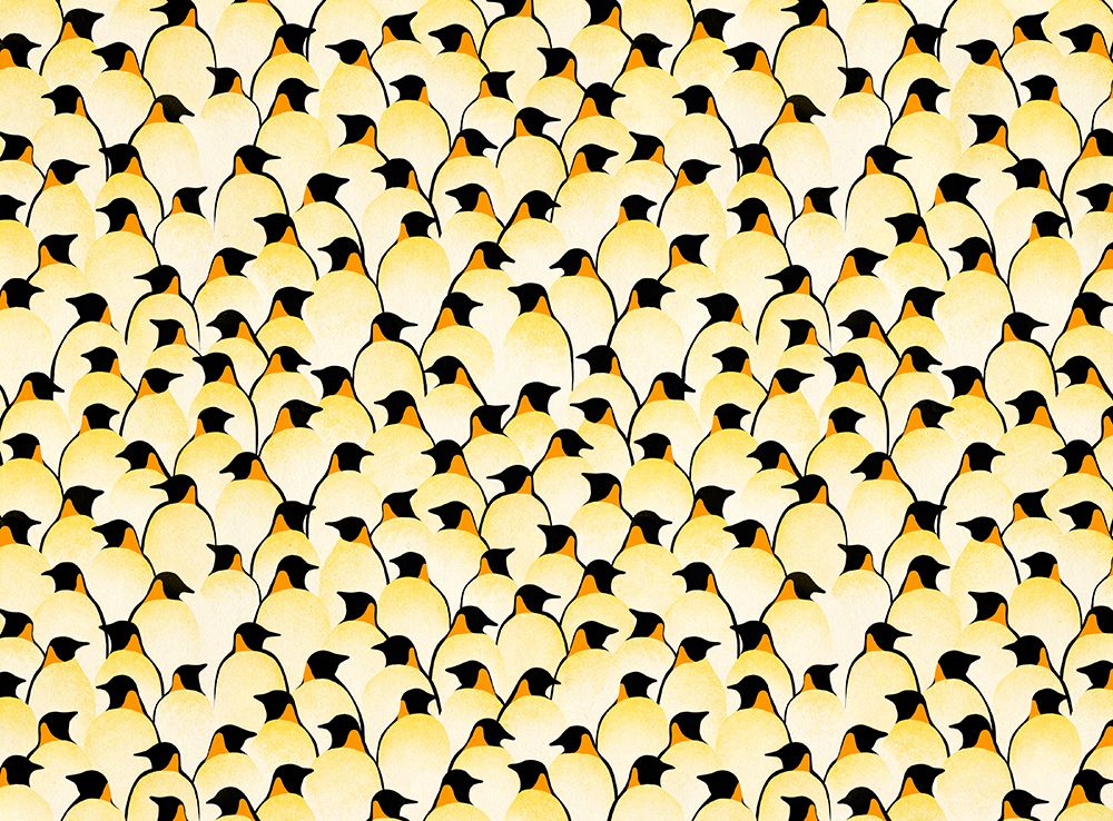 Penguins art print by Florent Bodart for $57.95 CAD