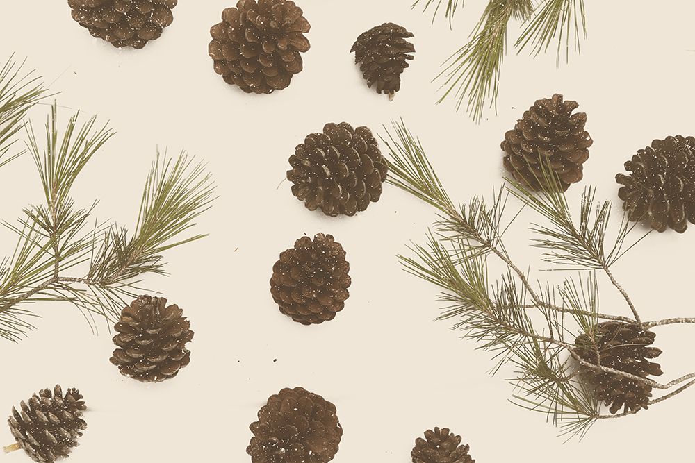 Merry Christmas My Dear art print by Florent Bodart for $57.95 CAD