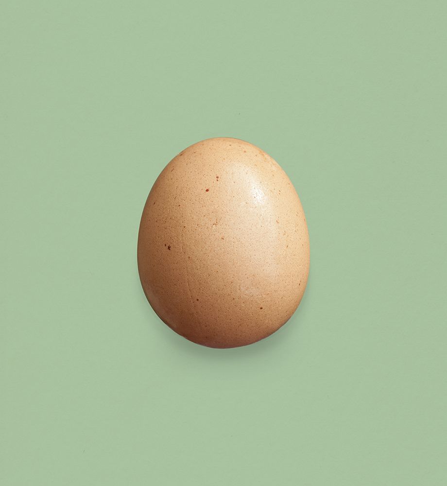 Just an Egg Main art print by Florent Bodart for $57.95 CAD