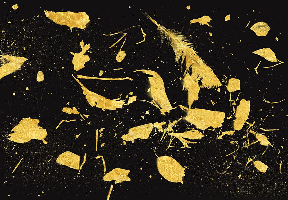 Gold Dust art print by Florent Bodart for $57.95 CAD