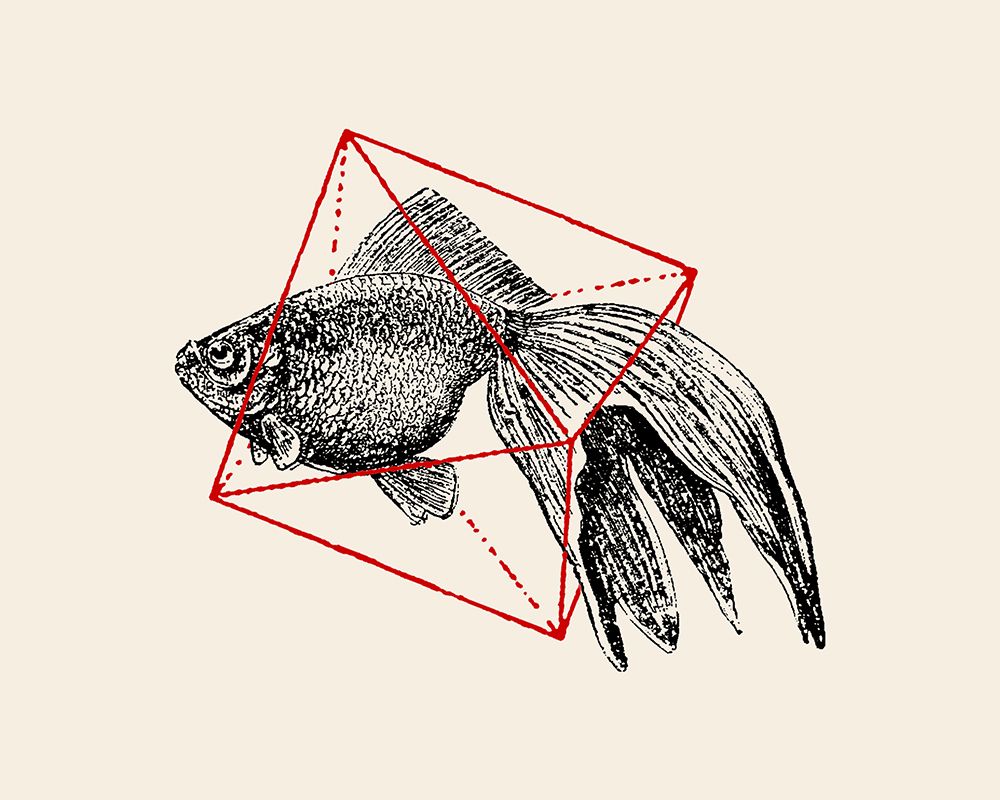 Fish In Geometrics NAo3 art print by Florent Bodart for $57.95 CAD
