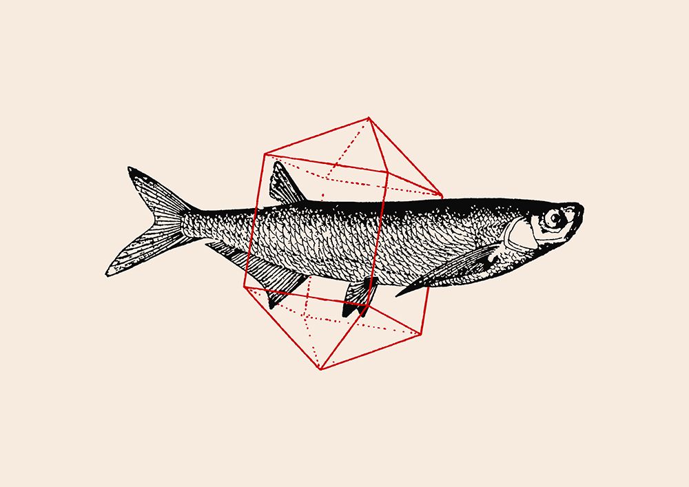 Fish In Geometrics NAo2 art print by Florent Bodart for $57.95 CAD
