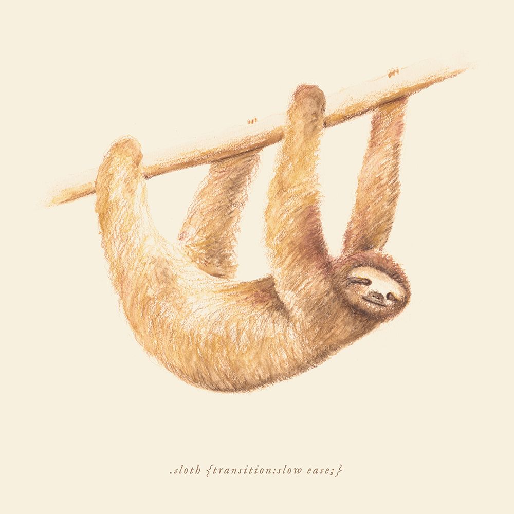 Css Animals   Sloth art print by Florent Bodart for $57.95 CAD