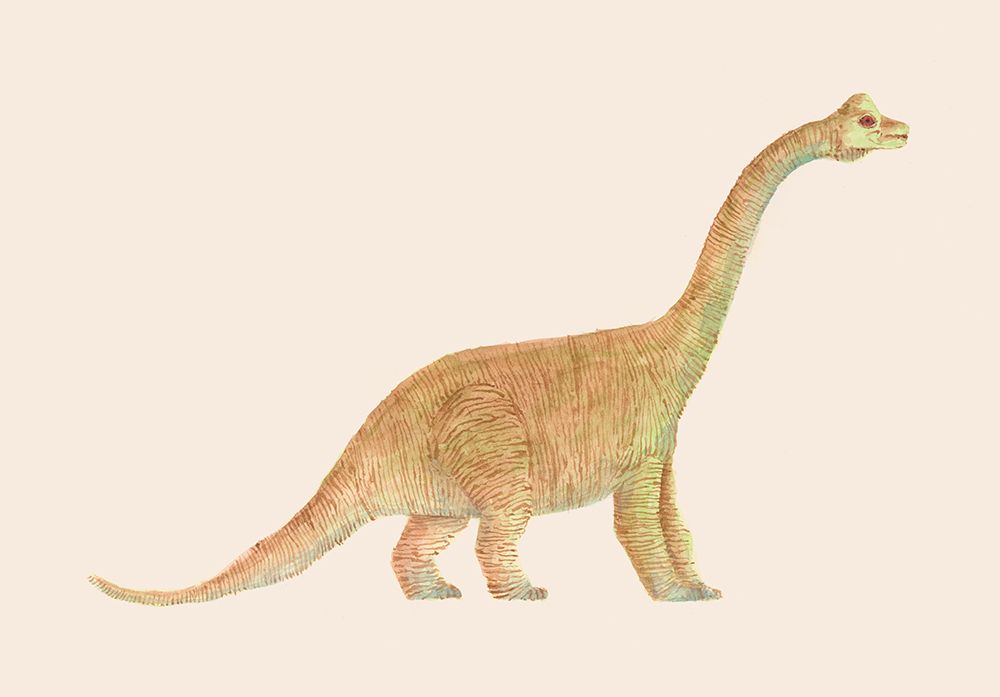 Diplodocus art print by Florent Bodart for $57.95 CAD