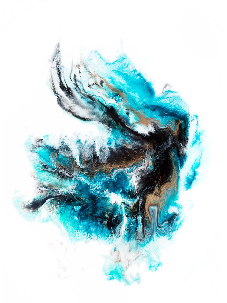 Acropora art print by Alyson Storms for $57.95 CAD