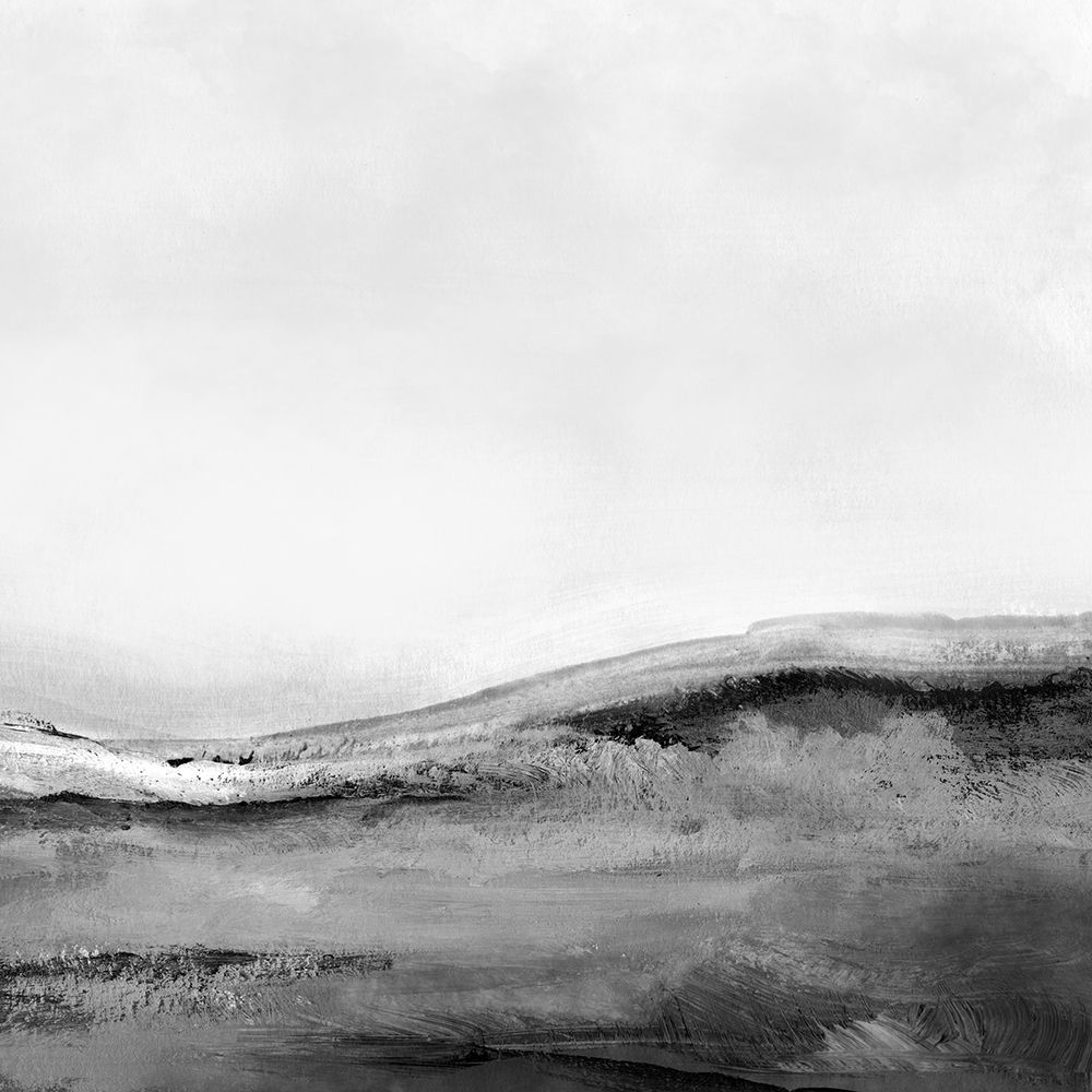 Mono Landscape No2 art print by Dan Hobday for $57.95 CAD