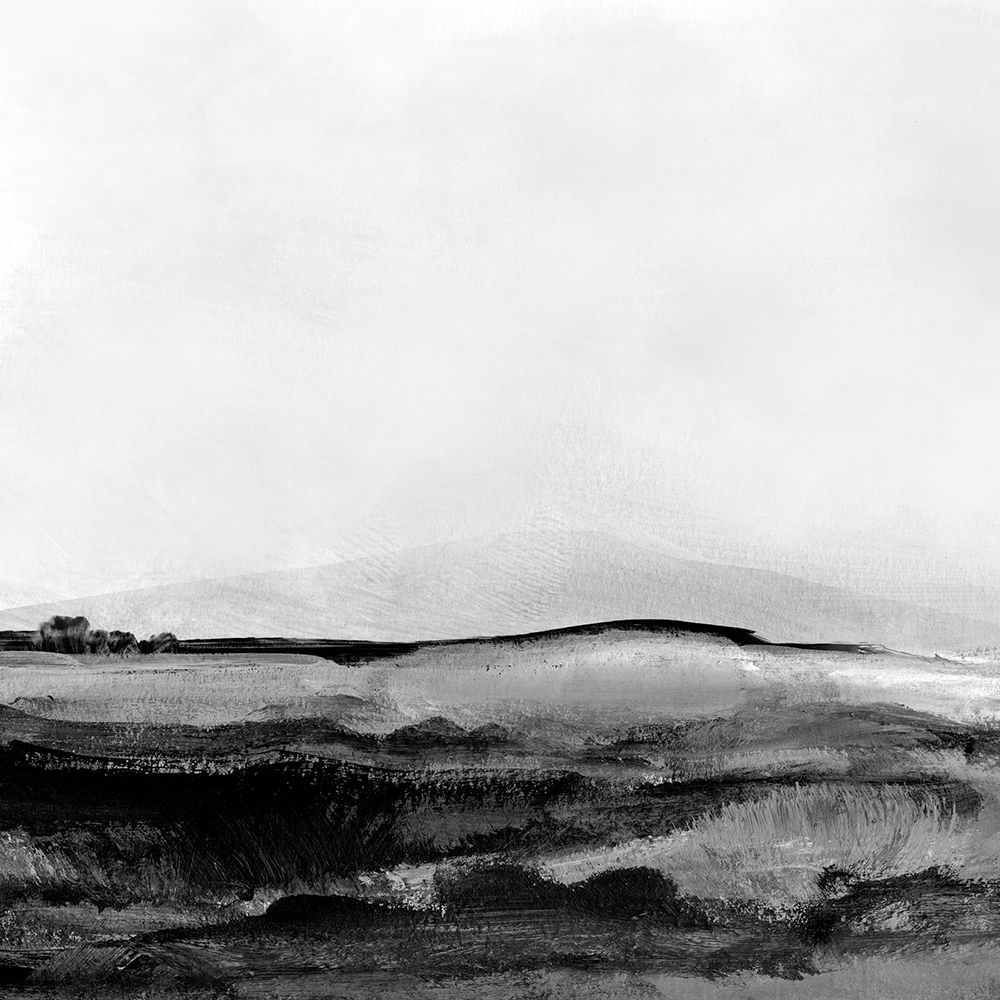 Mono Landscape No1 art print by Dan Hobday for $57.95 CAD