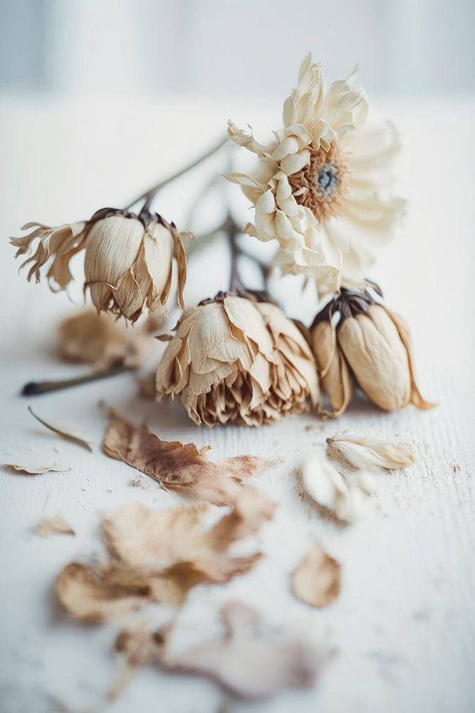 Transience art print by Treechild for $57.95 CAD