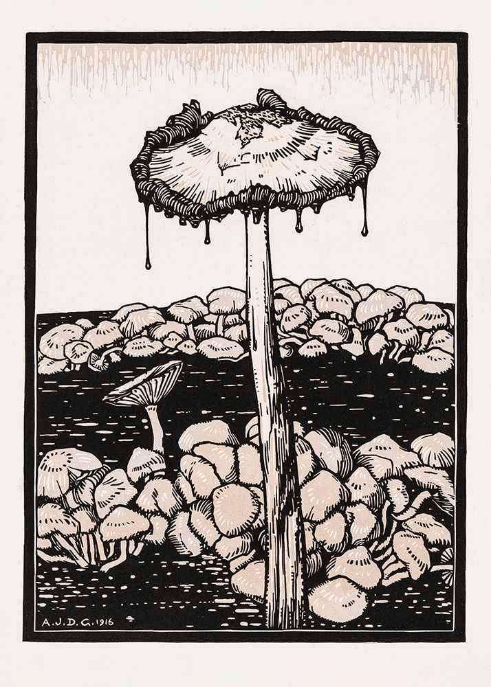 Dripping Mushroom 1916 art print by Pictufy for $57.95 CAD