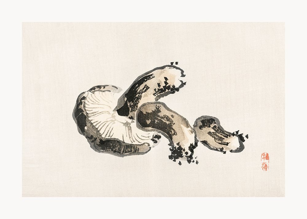 Shitake Mushroom art print by Pictufy for $57.95 CAD