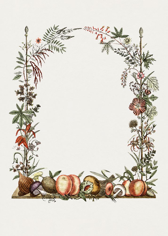 Hand Drawn Botanical Frame art print by Pictufy for $57.95 CAD